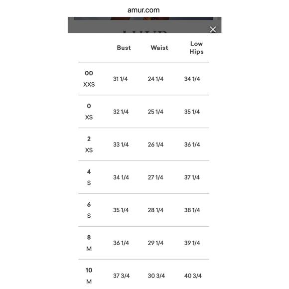 AMUR Nyla Floral Stripe Tie Front Mini Dress Size 8 Organic Cotton - Picture 6 of 11